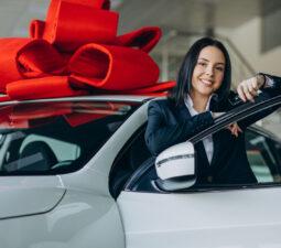 plná moc k přepisu vozidla