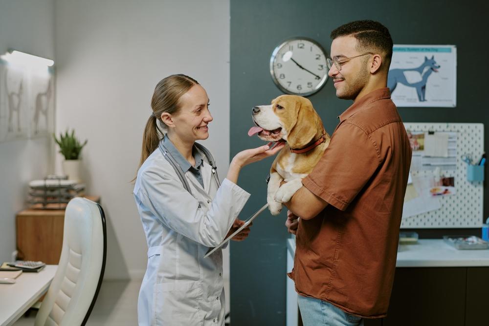 Pojištění Mazlíček pomáhá s výdaji za veterinární péči.